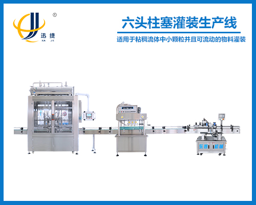 六頭柱塞灌裝生產(chǎn)線(xiàn)